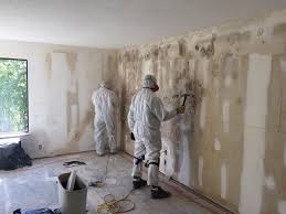 Why You Should Choose Our Mold Remediation Services in Bealeton, VA